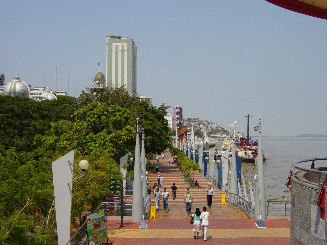 Coastal Lowlands, Ecuador